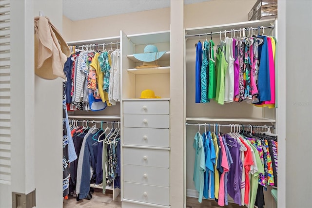 1432 Colony Pl, Venice, FL 34292 - view of closet