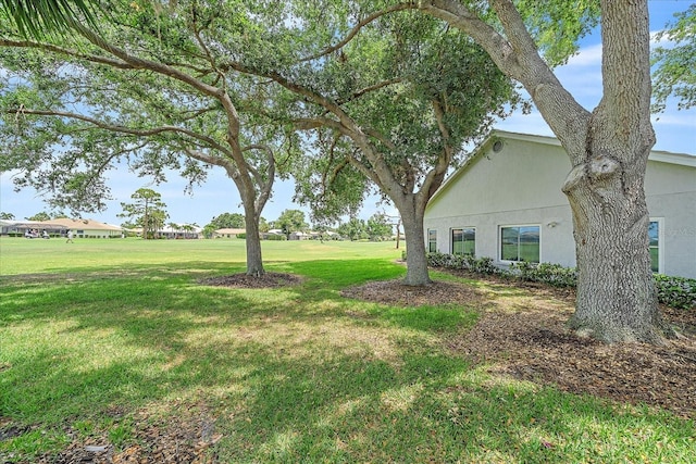 1432 Colony Pl, Venice, FL 34292 - view of green lawn