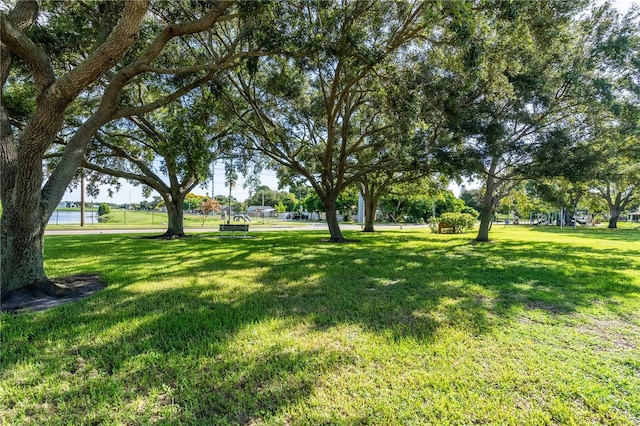 1234 29th St N, Saint Petersburg, FL 33713 - photo 29