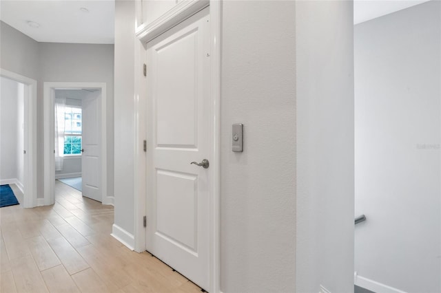 5561 Cannes Cir Unit 5101, Sarasota, FL 34231 - hallway featuring baseboards and light wood-type flooring