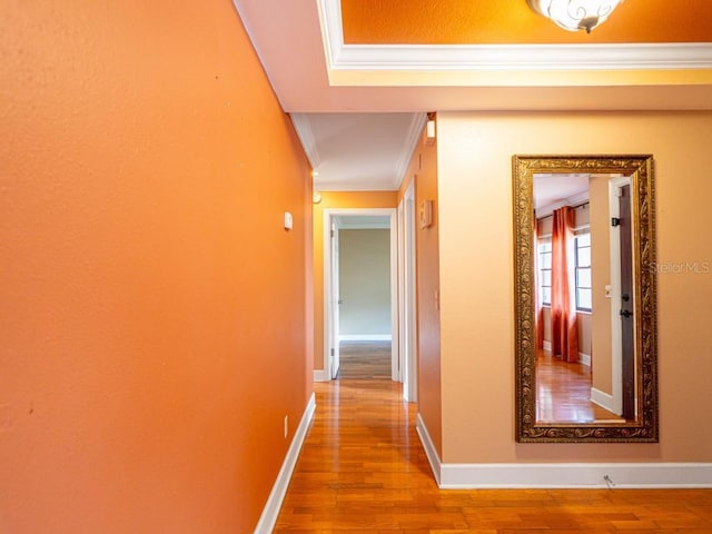 4209 Forrestal Ave, Orlando, FL 32806 - photo 18
