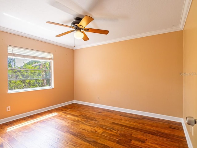 4209 Forrestal Ave, Orlando, FL 32806 - photo 21