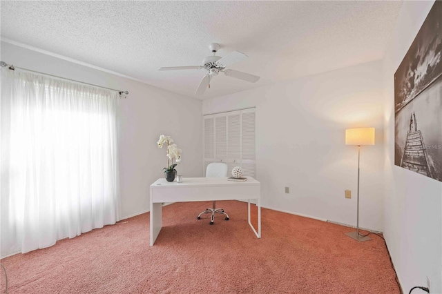 6675 Easton Dr, Sarasota, FL 34238 - photo 21