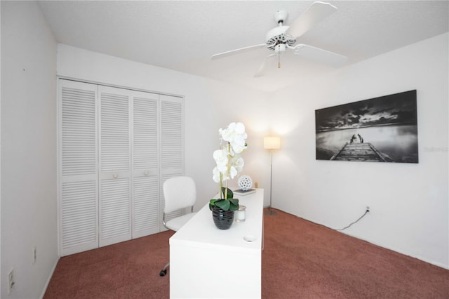 6675 Easton Dr, Sarasota, FL 34238 - photo 22