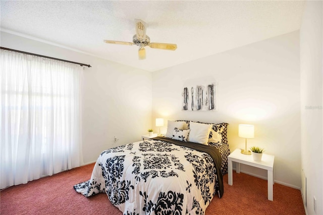 6675 Easton Dr, Sarasota, FL 34238 - photo 23