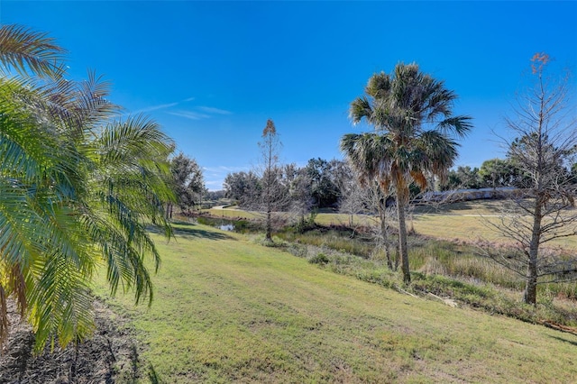 view of green lawn with a water view
