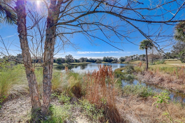 12822 Del Corso Loop, Bradenton, FL 34211 - water view