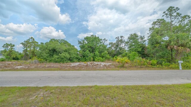 Levee St, North Port, FL 34288 - photo 9