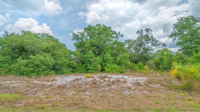 Levee St, North Port, FL 34288 - photo 10