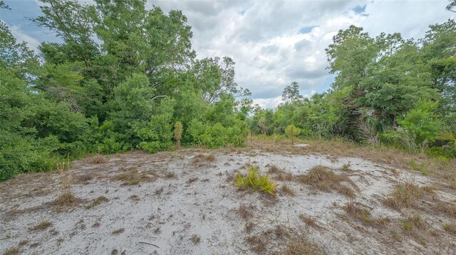 Levee St, North Port, FL 34288 - photo 11