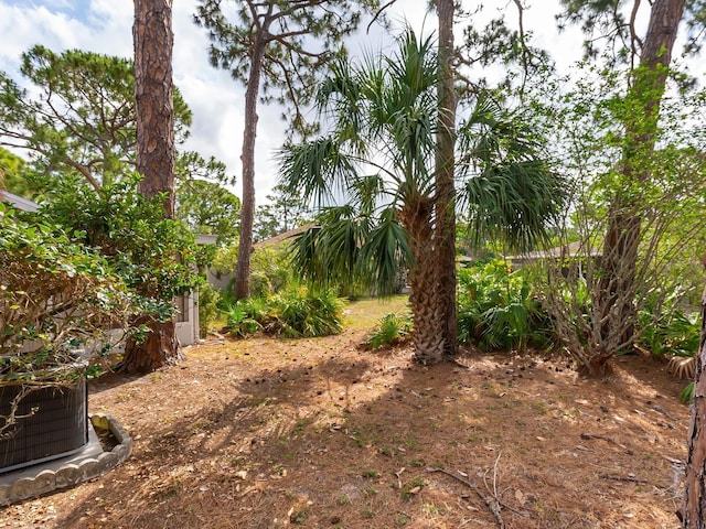 635 N Jefferson Ave Unit 635, Sarasota, FL 34237 - view of yard
