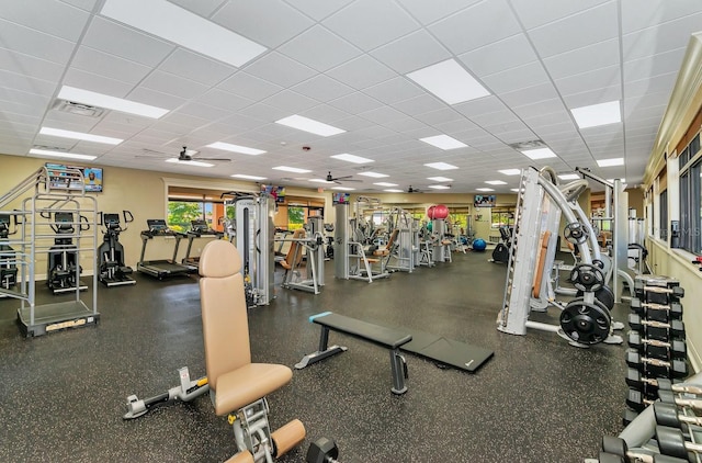 exercise room with ceiling fan and a drop ceiling