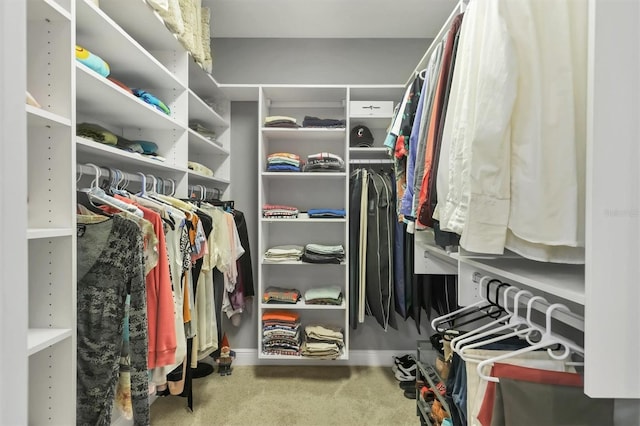 3430 77th St W Unit 103, Bradenton, FL 34209 - walk in closet with carpet