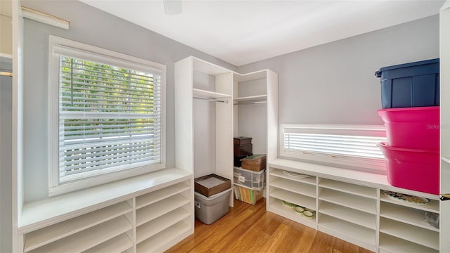 walk in closet with wood finished floors