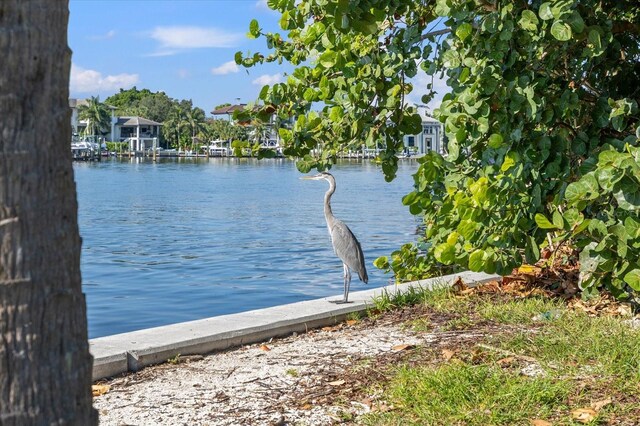 water view