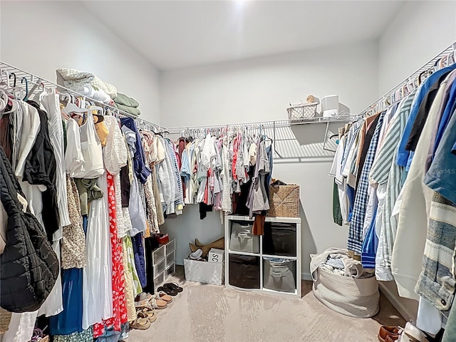 walk in closet with carpet floors