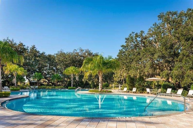 community pool with view of wooded area