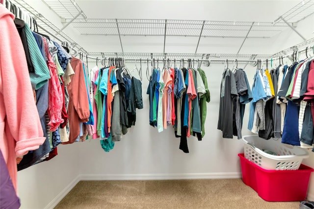 11455 52nd Ct E, Parrish, FL 34219 - spacious closet featuring carpet flooring