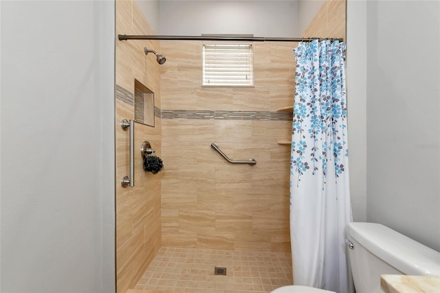 11455 52nd Ct E, Parrish, FL 34219 - full bathroom with a shower stall and toilet