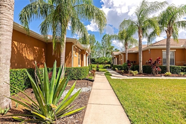 11455 52nd Ct E, Parrish, FL 34219 - view of green lawn