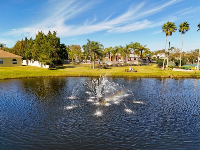 11455 52nd Ct E, Parrish, FL 34219 - water view