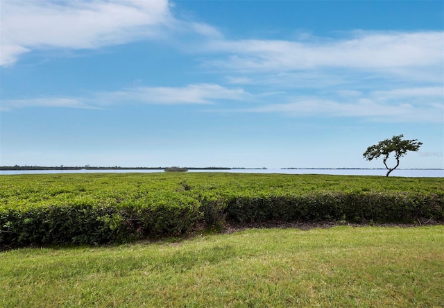 view of local wilderness with a large body of water