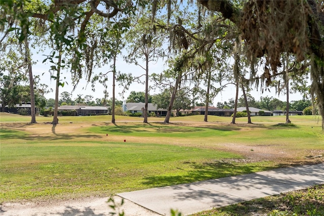 view of community with a yard