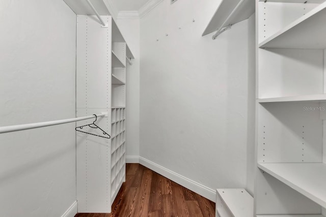 spacious closet with dark wood finished floors