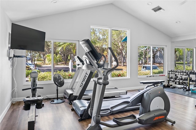 11367 Perico Isle Cir, Bradenton, FL 34209 - workout area featuring lofted ceiling, wood finished floors, and baseboards