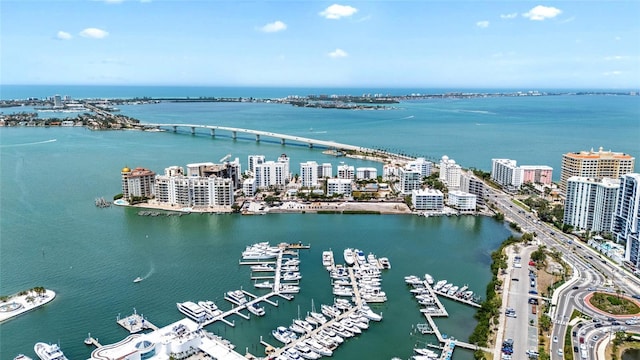 view of urban area with a large body of water, numerous boat docks, and a notable bridge