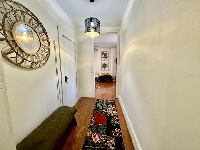210 N 17th St W Unit 15, Bradenton, FL 34205 - hall featuring wood finished floors and baseboards