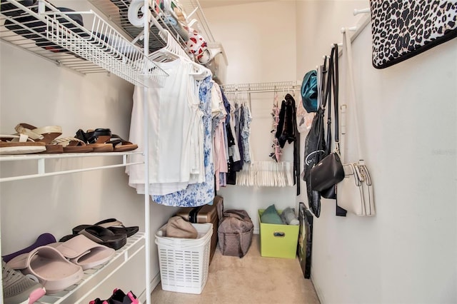 spacious closet featuring carpet floors