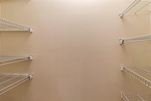 911 Cimarron Cir, Bradenton, FL 34209 - view of walk in closet