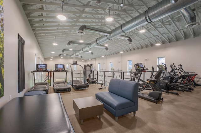 exercise room featuring lofted ceiling
