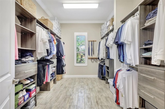 13918 Old Creek Ct, Parrish, FL 34219 - walk in closet with light wood finished floors