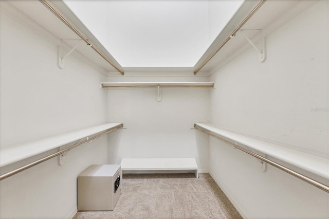 4517 Las Brisas Ln, Sarasota, FL 34238 - spacious closet with light carpet