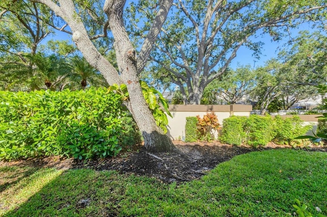 4517 Las Brisas Ln, Sarasota, FL 34238 - view of yard featuring fence