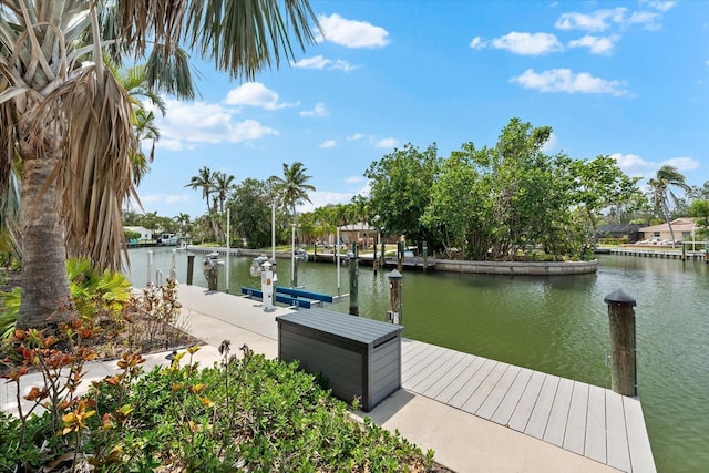 dock area with a water view