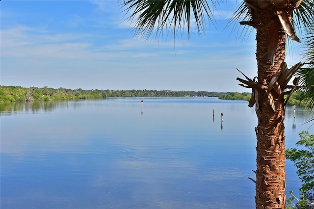 water view