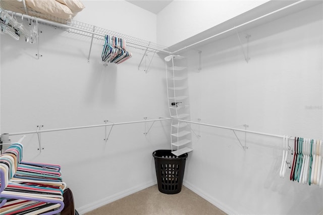 7637 Sweetbay Cir, Bradenton, FL 34203 - spacious closet featuring carpet flooring