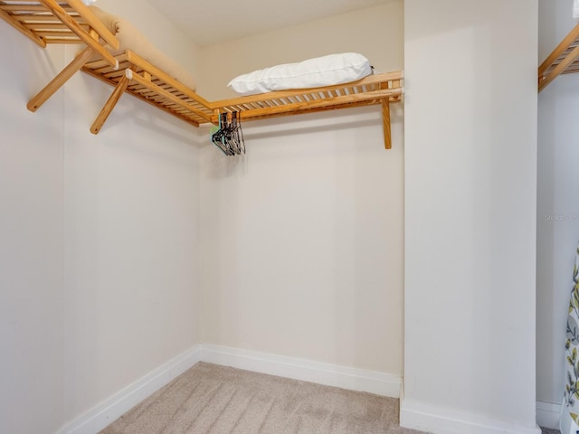 6512 Midnight Pass Rd Unit 303, Sarasota, FL 34242 - walk in closet with carpet