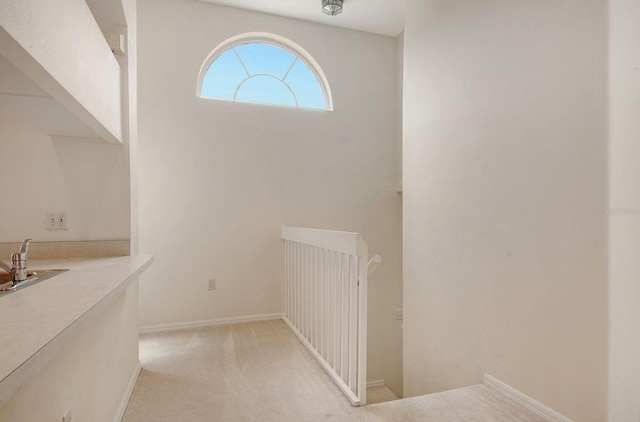 interior space with light carpet and baseboards