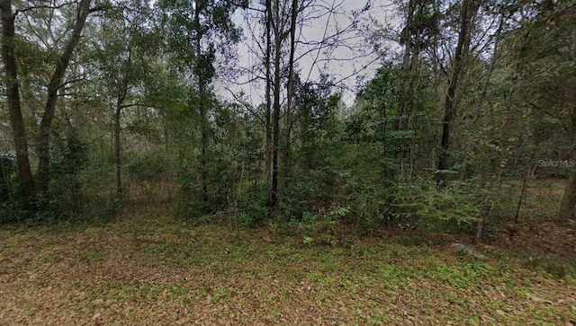 653 Frances Dr, Havana, FL 32333