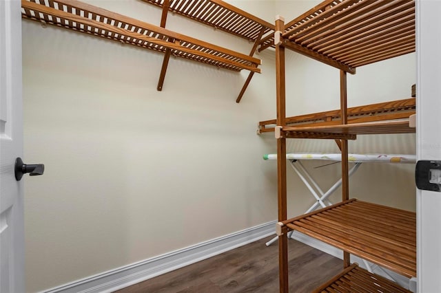 walk in closet featuring wood finished floors