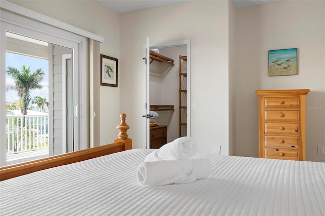 bedroom with multiple windows, a spacious closet, access to exterior, and a closet