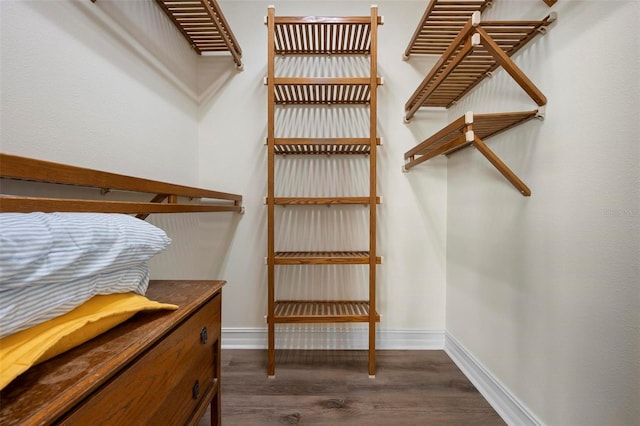 spacious closet with dark wood finished floors