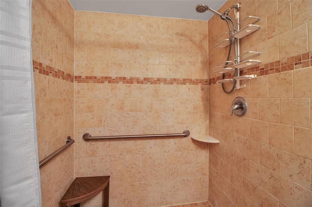 10423 Waterbird Way Unit 10423, Bradenton, FL 34209 - bathroom with a tile shower