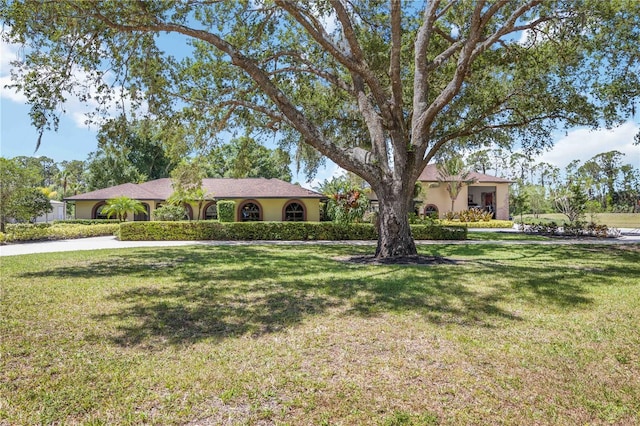 4225 Ulman Ave, North Port, FL 34286 - view of front of home featuring a front lawn and stucco siding