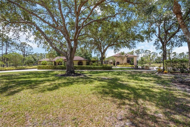4225 Ulman Ave, North Port, FL 34286 - view of green lawn