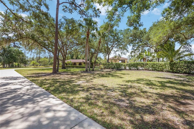 4225 Ulman Ave, North Port, FL 34286 - view of grassy yard